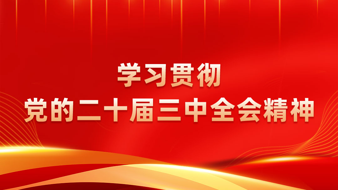 学习宣传贯彻党的二十届三中全会精神